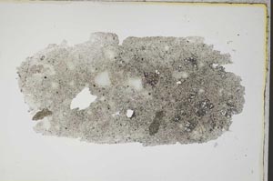 Plane Polarized, S8186