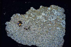 Cross Polarized, S8187