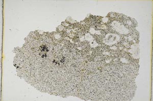 Plane Polarized, S8187