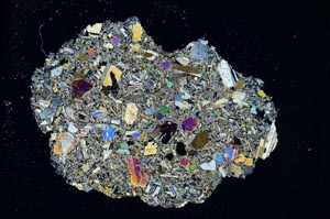 Cross Polarized, S8188