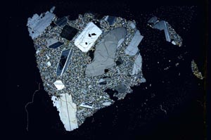 Cross Polarized, S8189