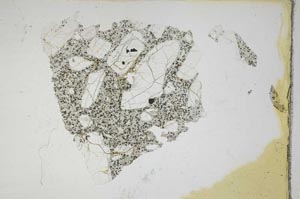 Plane Polarized, S8189