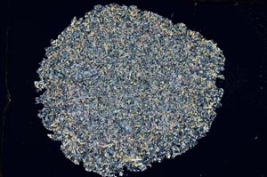 Cross Polarized, S8192