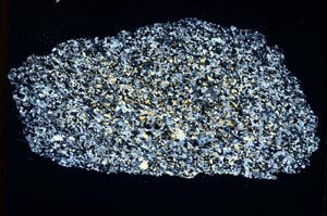 Cross Polarized, S8197