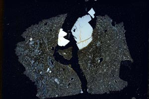 Cross Polarized, S8198