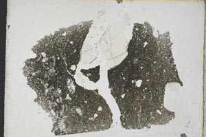 Plane Polarized, S8198