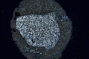 Cross Polarized, S8198/B