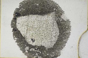 Plane Polarized, S8198/B