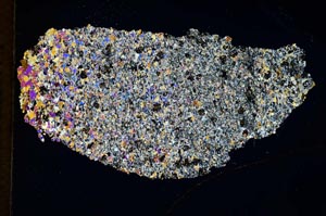 Cross Polarized, S8203