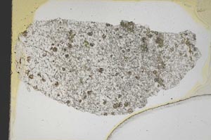 Plane Polarized, S8203