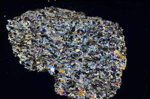 Cross Polarized, S8204