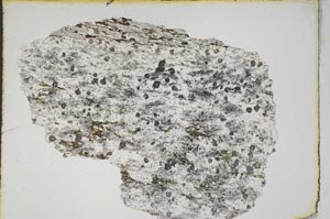 Plane Polarized, S8204