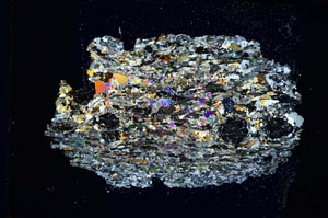 Cross Polarized, S8205