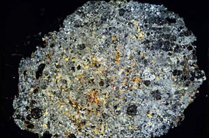 Cross Polarized, S8206