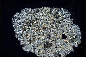 Cross Polarized, S8208