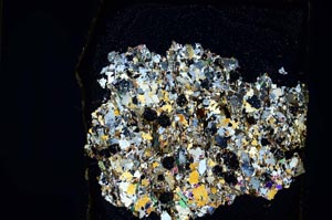 Cross Polarized, S8209