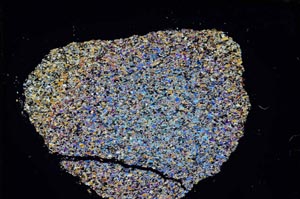 Cross Polarized, S8210