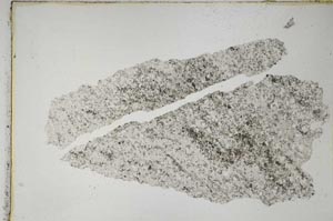 Plane Polarized, S8226