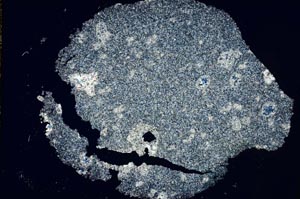 Cross Polarized, S8288