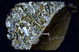 Cross Polarized, S8289