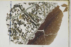 Plane Polarized, S8289