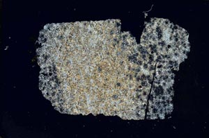 Cross Polarized, S8294