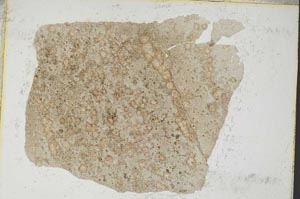 Plane Polarized, S8295