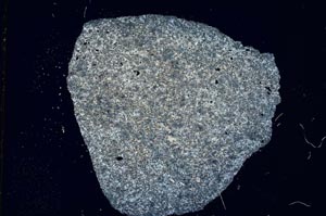 Cross Polarized, S8296