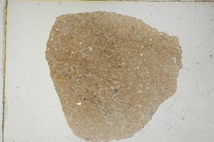 Plane Polarized, S8296