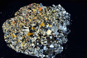 Cross Polarized, S8299