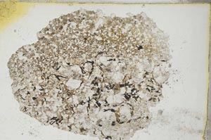 Plane Polarized, S8299