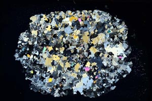 Cross Polarized, S8300