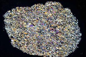 Cross Polarized, S8308