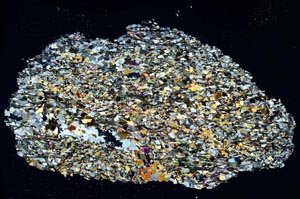 Cross Polarized, S8309