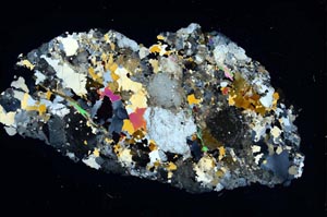 Cross Polarized, S8311