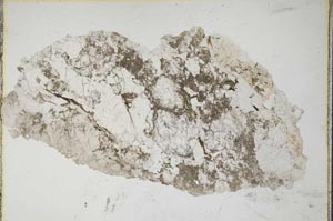 Plane Polarized, S8311