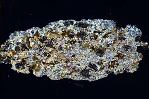 Cross Polarized, S8312