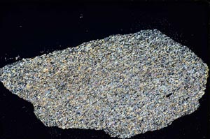 Cross Polarized, S8313