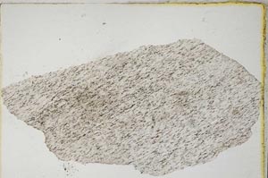 Plane Polarized, S8313