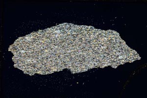 Cross Polarized, S8314