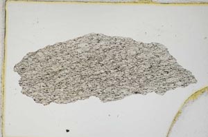 Plane Polarized, S8314