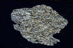 Cross Polarized, S8315