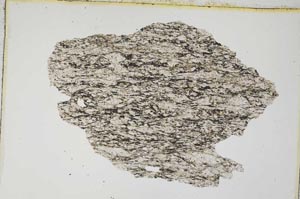 Plane Polarized, S8315