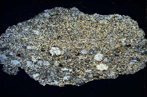 Cross Polarized, S8316