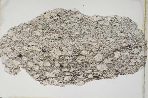 Plane Polarized, S8316