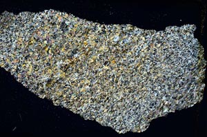 Cross Polarized, S8317