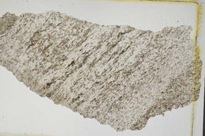 Plane Polarized, S8317