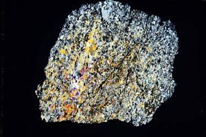 Cross Polarized, S8318