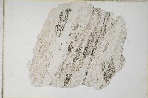 Plane Polarized, S8318