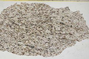 Plane Polarized, S8319